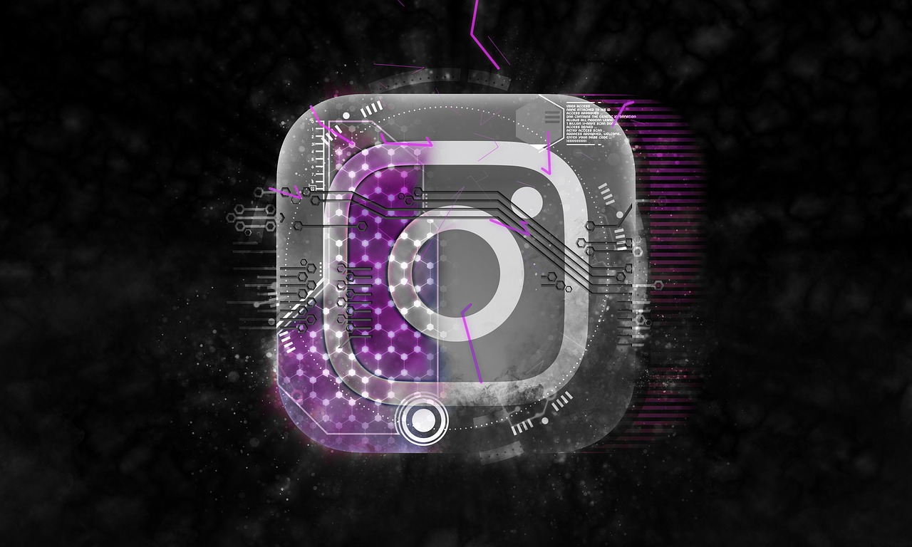 Instagram Growth Service